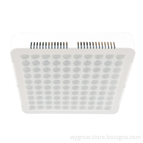 hydroponic full spectrum led grow light 300w